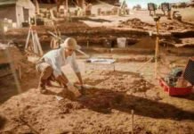 Archaeologists Discover Early Maritime Trade Hub