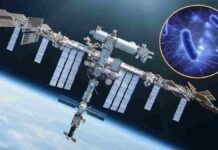 Space Station Study Reveals How Microgravity Alters Virus-Bacteria Dynamics
